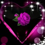 Joyce Prettyman - @prettymanjoyce - Instagram