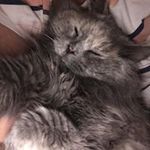 Joy Price - @joyprice3856 - Instagram