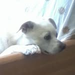 Joyce Weaver Proffitt - @joyce.proffitt - Instagram