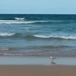 Joy Rawlings - @rawlings_joy - Instagram