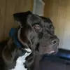 Joy Ray - @joyray21 - TikTok