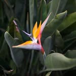 Joy Turner Reichardt - @joy_reichardt - Instagram
