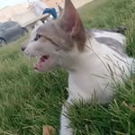 joyright - @joyright_1234 - Instagram