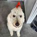 Joy Ritchie - Facebook