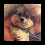 Joy Rodgers - @2bjoyful - Instagram