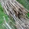 Joy Rowe - @joy.rowe7 - TikTok