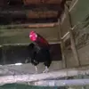 Ripkyy - @rowelljoy - TikTok