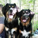 Joy Rubin Kupperstein - @njoy_8558 - Instagram