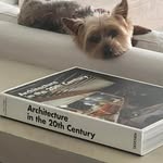 Joy Nowells-Rush - @joyrush68 - Instagram