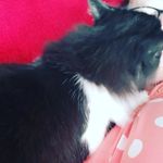 Rush Joy - @joy.rush.35 - Instagram