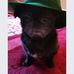 Joy Ryan - Facebook