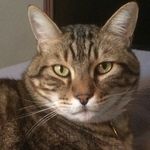 Joy Salerno - @joysalerno88 - Instagram