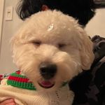 Appa - @joysappa - Instagram