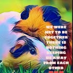 ℒ𝒾𝓁𝓁𝒾𝒶𝓃 𝒿ℴ𝓎 𝓈𝒶𝓌𝓎ℯ𝓇 - @lillian.sawyer2020 - Instagram