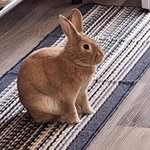 Joy Schaefer - @joyschaefer1167 - Instagram