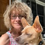 Susan Joy Schaefer - @schaefjoy - Instagram