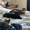 Joy Schofield-Berringer - @joy.schofieldberr - TikTok