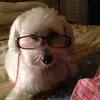 Joyce Schofield - @joyce.schofield - TikTok