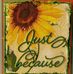 Joy Senecal - Facebook