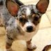 Joy Senecal - Facebook