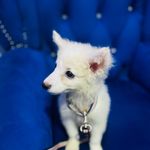 Seward joy - @sewardjoy21 - Instagram
