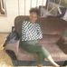Joyce Sheldon - Facebook