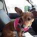 Joy Simmons - Facebook