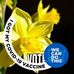 Joy Simpkins - Facebook