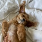 @joysl.ay - Instagram