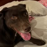 Joy smith - @punnky0980 - Instagram