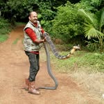 SNAKE JOY - @snakejoy - Instagram