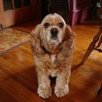 Joy Spaulding Warner - @jwseagull - Instagram