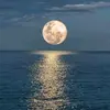 Joyce Staley - @joyce.staley0 - TikTok