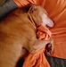 Joy Pote-stanford - Facebook