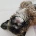 Joy Starkey - Facebook