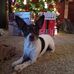 Joy Staton - Facebook