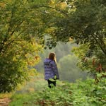 joy stephens - @joystephens286 - Instagram