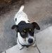 Joy Stephens - Facebook
