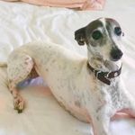Joy Stoner - @joyw53 - Instagram