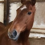 Joy Storey - @storey3936 - Instagram
