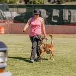Kalen + Mango & Ellie ᴥ Training for Joy - @trainingforjoy - Instagram