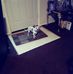 Joy Stuart - Facebook