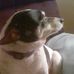Joy Stuart - Facebook