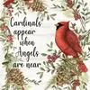 sweet cardinal - @joycestubblefield5 - TikTok