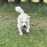 Joy Swanson - @joy.swans0n - Instagram