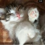 vicki joy swanson - @vickijoyswanson - Instagram