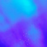 JoyTaitFox - @joytaitfox10 - Instagram