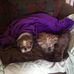 Joy Talbert - Facebook