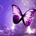 Joy Tanner - Facebook