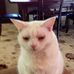 Joy Tanner - Facebook